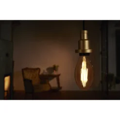 Osram LED-Leuchtmittel 1906 Edisonform Filament E27 Gold Warmweiss 35 W / 410 Lm -Lampen & Leuchten affär 100479 2