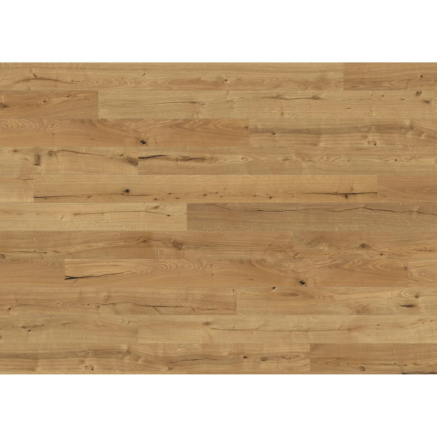 Handmuster Parkett Landhausdiele Eiche Rustikal Geölt 1 Handmuster Parkett Landhausdiele Eiche Rustikal Geölt