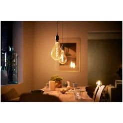 Philips Kordel-Pendel Giant Schwarz 7 Philips Kordel-Pendel Giant Schwarz -Lampen & Leuchten affär 209328 2