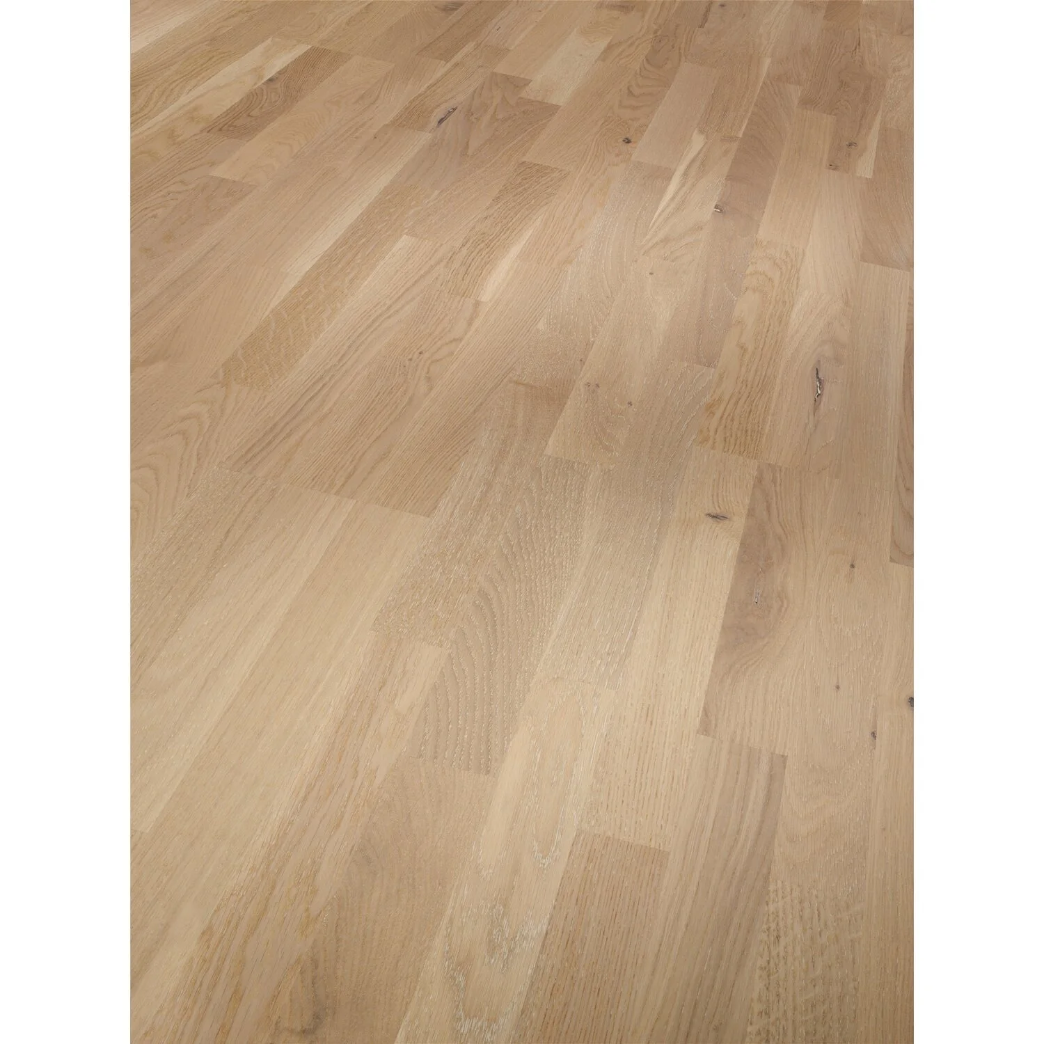 Handmuster Parador Parkett Basic 11-5 Rustikal Lackiert Matt Eiche Weiss 1 Handmuster Parador Parkett Basic 11-5 Rustikal Lackiert Matt Eiche Weiss