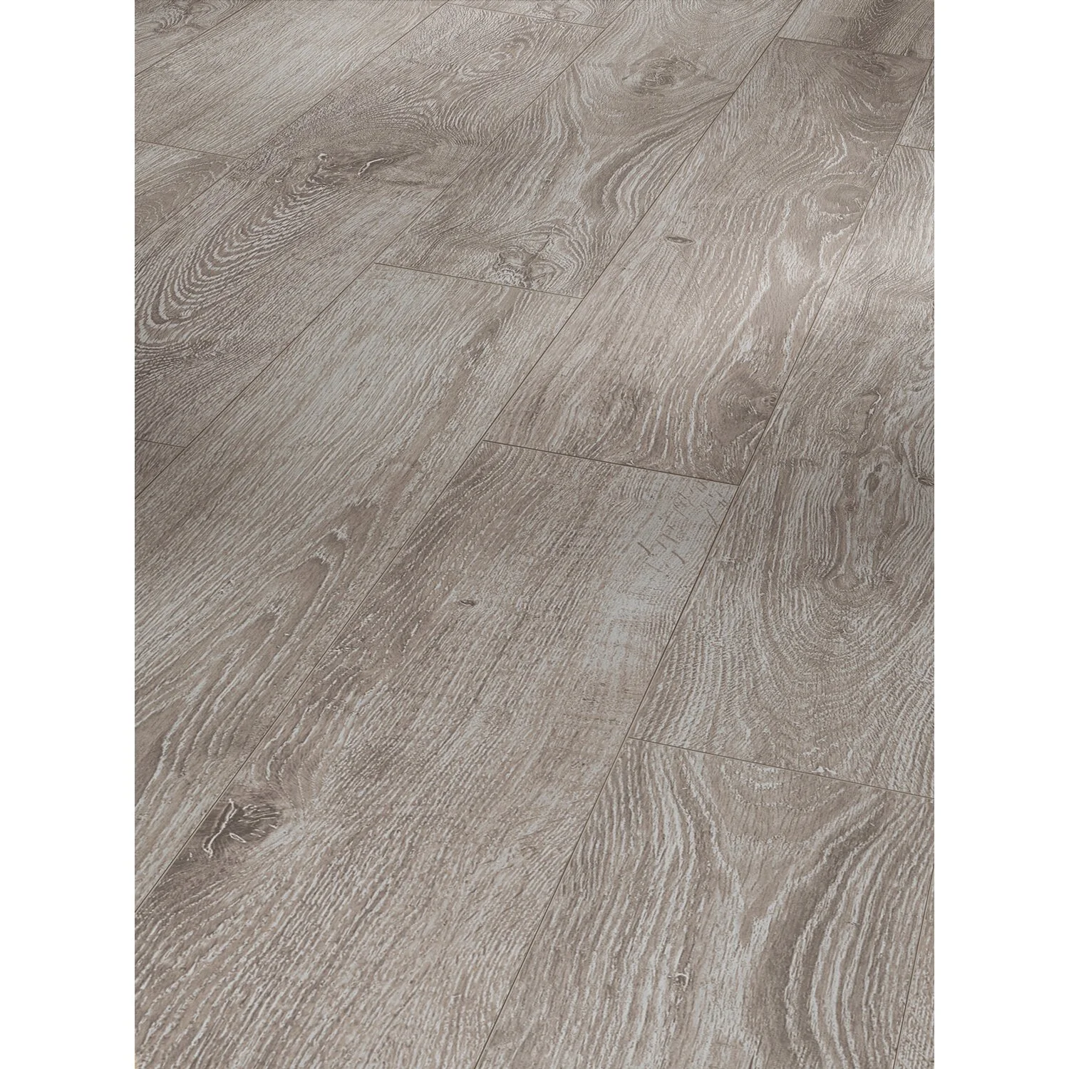 Handmuster Parador Laminatboden Basic 600V Eiche Lichtgrau Landhausdiele 1 Handmuster Parador Laminatboden Basic 600V Eiche Lichtgrau Landhausdiele