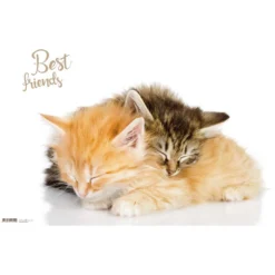 Schreibunterlage Best Friends 40 X 59 Cm