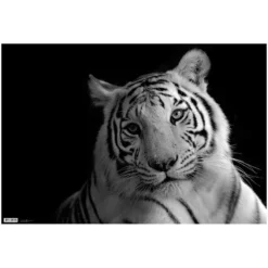 SchreibunterlageTiger 40 X 59 Cm