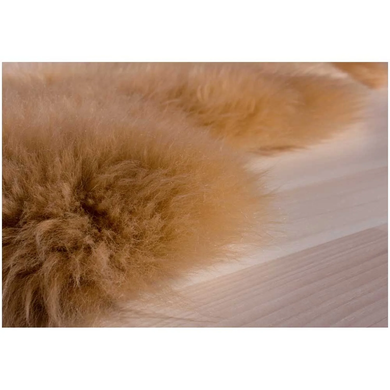 Schaffell Double Cognac Ca. 60 X 160 Cm 3 Schaffell Double Cognac Ca. 60 X 160 Cm – Bild 3