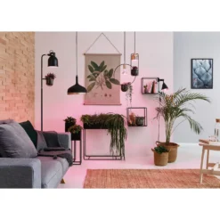 Paulmann LED-Pflanzenlampe Grow Green E14 / 4 W -Lampen & Leuchten affär 527311 4