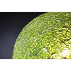 Paulmann LED-Leuchtmittel Miracle Mosaic Grün G125 E27 / 5 W 17 Paulmann LED-Leuchtmittel Miracle Mosaic Grün G125 E27 / 5 W -Lampen & Leuchten affär 527373 8