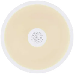 Globo Deckenleuchte Raffy Mit Lautsprecher RGBW 1'000 Lm -Lampen & Leuchten affär 548102 14