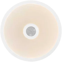 Globo Deckenleuchte Raffy Mit Lautsprecher RGBW 1'000 Lm -Lampen & Leuchten affär 548102 3