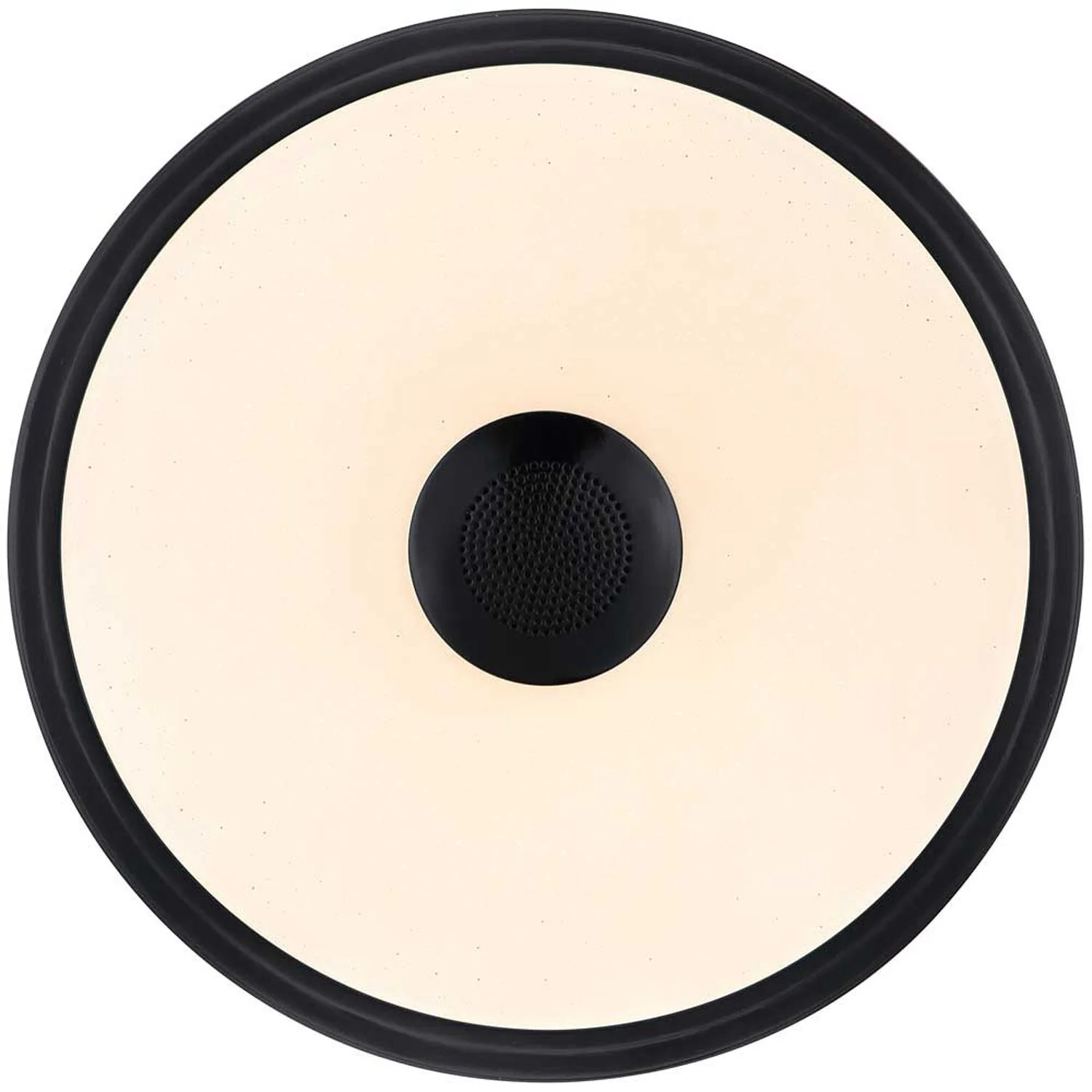 Globo Deckenleuchte Raffy Mit Lautsprecher RGBW 800 Lm 17 Globo Deckenleuchte Raffy Mit Lautsprecher RGBW 800 Lm – Bild 17