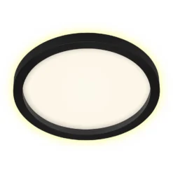 Briloner LED-Deckenleuchte Cadre Rund Schwarz 18 W