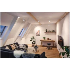 Paulmann Seilsystem Einzelspot Cone GU5,3 Matt Chrom 9 Paulmann Seilsystem Einzelspot Cone GU5,3 Matt Chrom -Lampen & Leuchten affär 554087 4