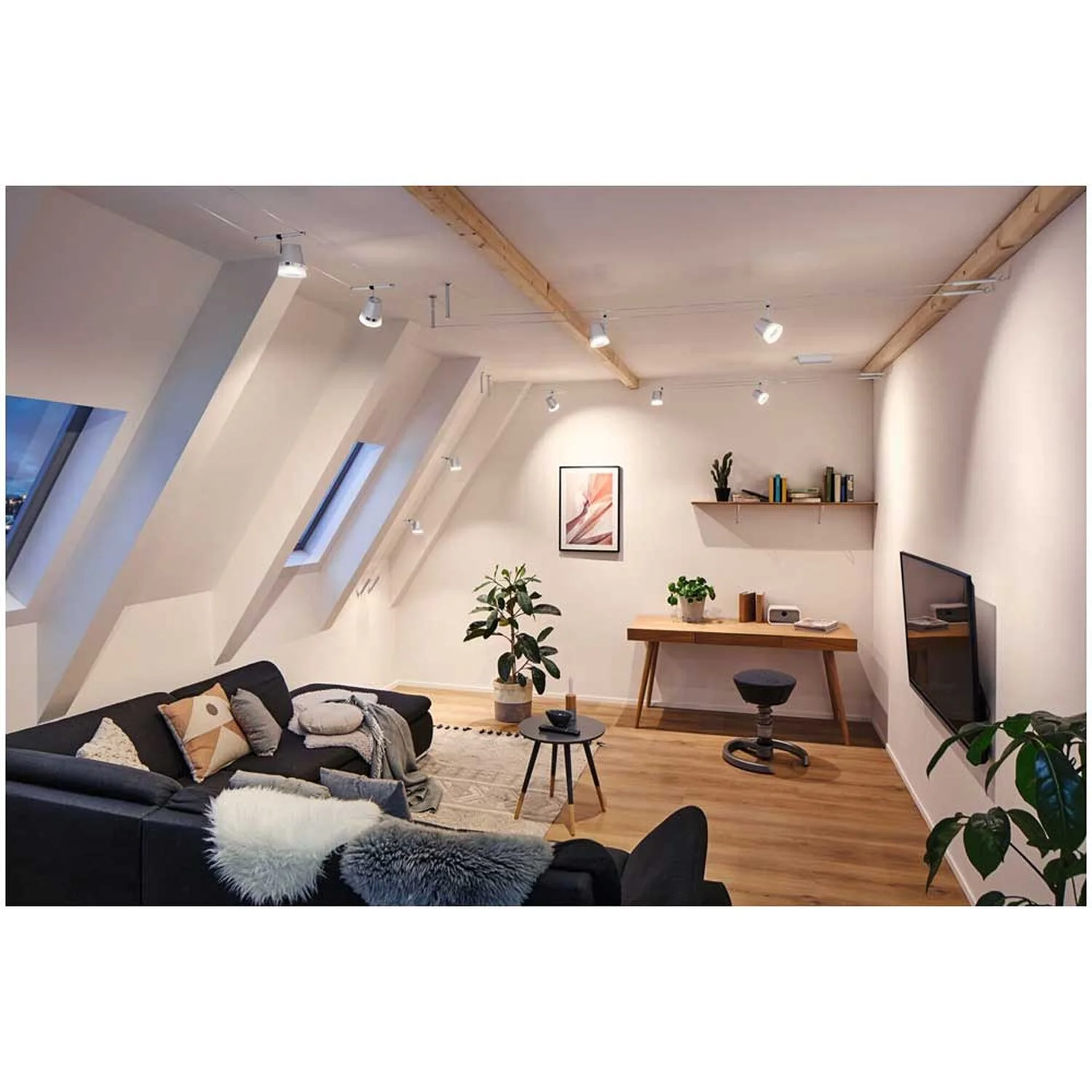 Paulmann Seilsystem Einzelspot Cone GU5,3 Matt Chrom 5 Paulmann Seilsystem Einzelspot Cone GU5,3 Matt Chrom – Bild 5