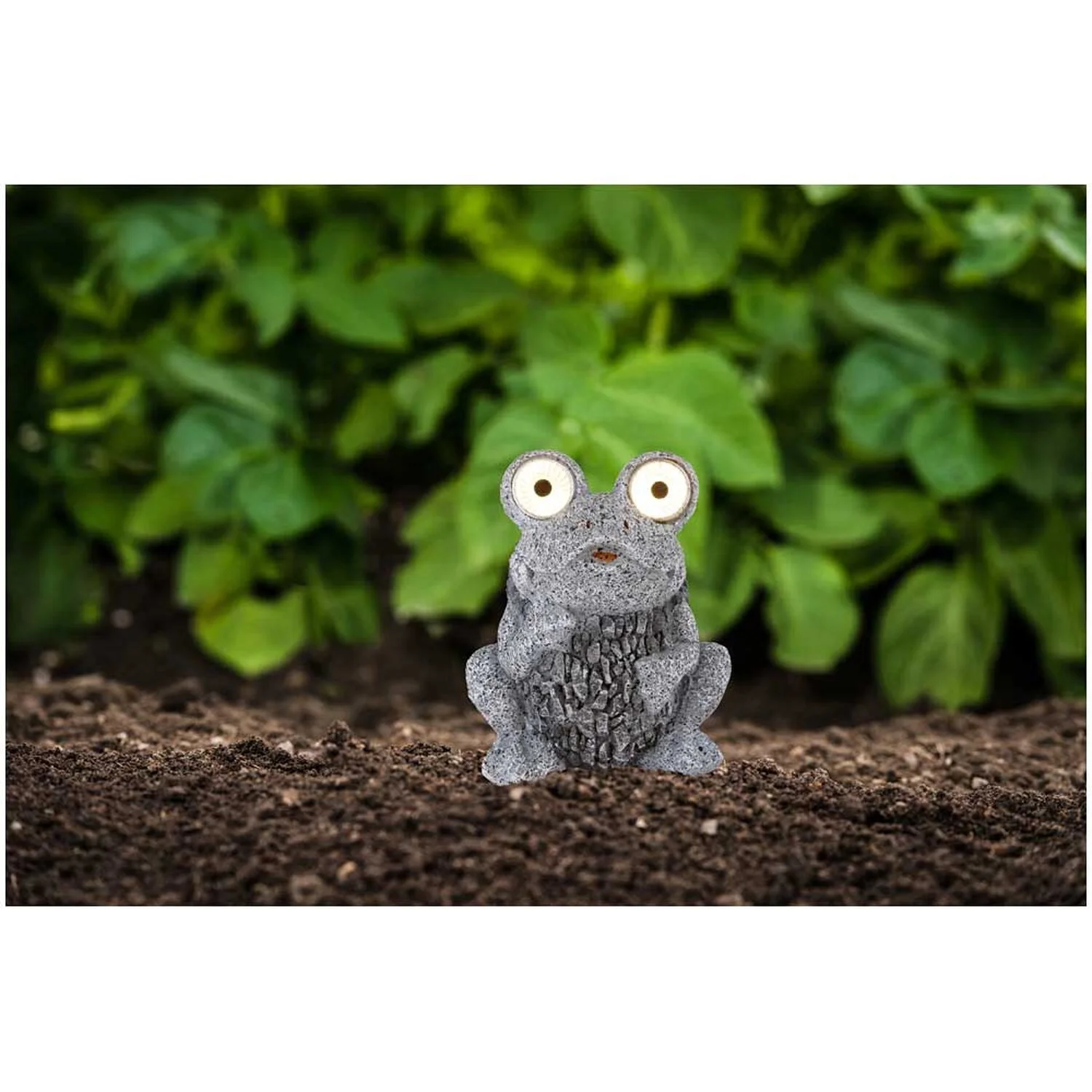 Globo Solarleuchte Frosch 9 Globo Solarleuchte Frosch – Bild 9