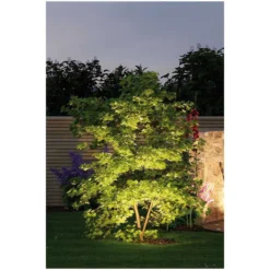 Paulmann Plug & Shine Sting Starterset Dimmbar -Lampen & Leuchten affär 561425 7