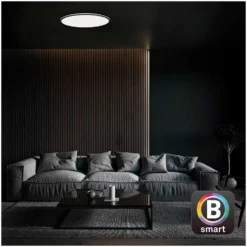 Brilo B Smart Deckenleuchte Ivy Sky S Schwarz 24 W / 2'500 Lm Inkl. Fernbedienun 33 Brilo B Smart Deckenleuchte Ivy Sky S Schwarz 24 W / 2'500 Lm Inkl. Fernbedienun -Lampen & Leuchten affär 563932 9