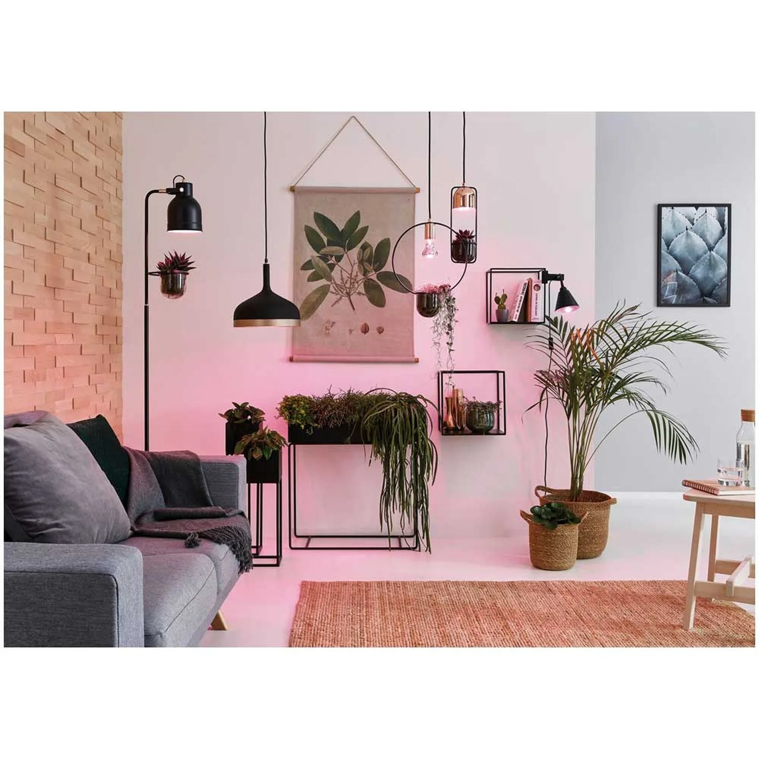 Paulmann LED-Reflektor-Pflanzenlampe Plant GU10 Silber 1'100 K / 3,5 W 4 Paulmann LED-Reflektor-Pflanzenlampe Plant GU10 Silber 1'100 K / 3,5 W – Bild 4