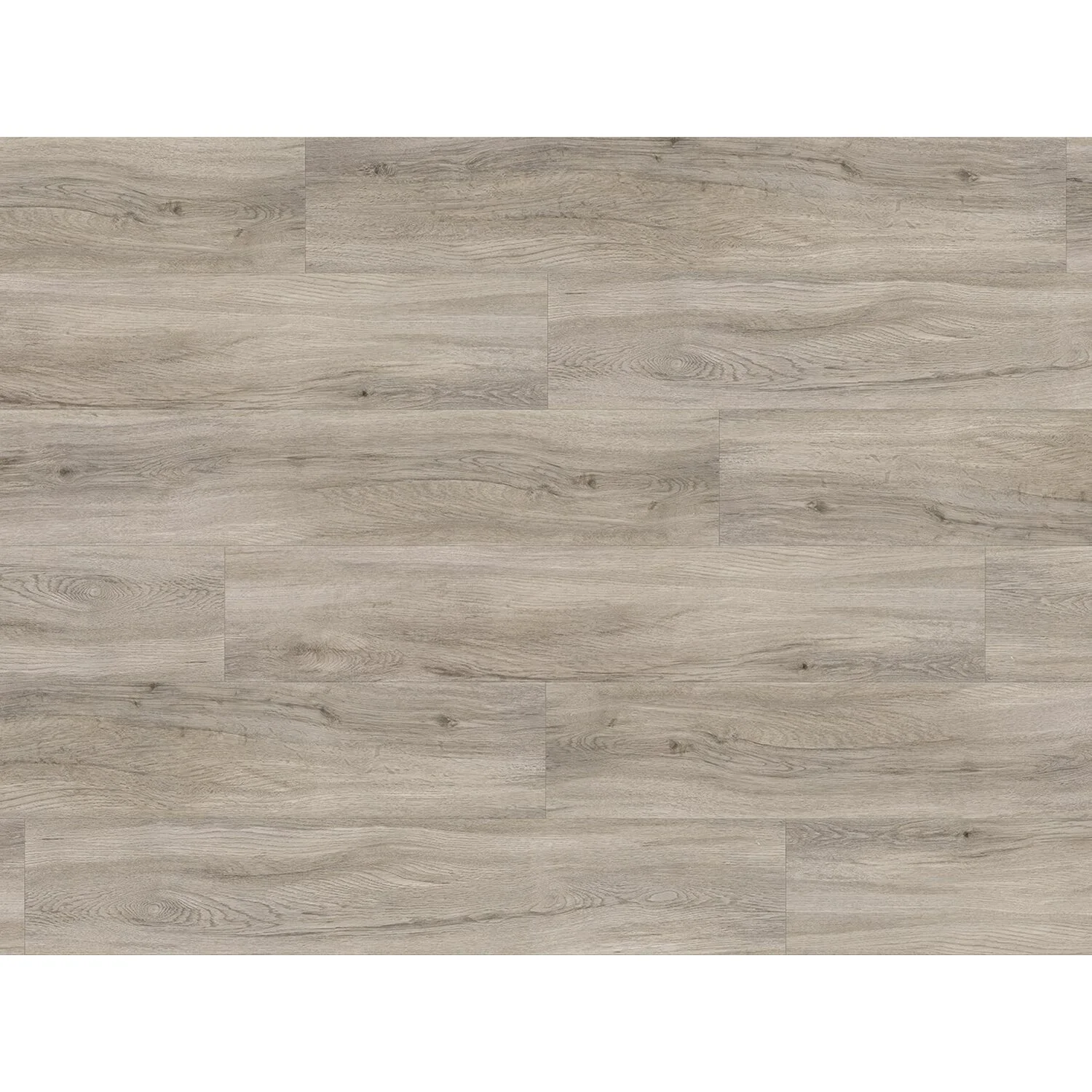 Handmuster Parador Vinylboden Basic 30 Eiche Pastellgrau Holzstruktur 2 Handmuster Parador Vinylboden Basic 30 Eiche Pastellgrau Holzstruktur – Bild 2