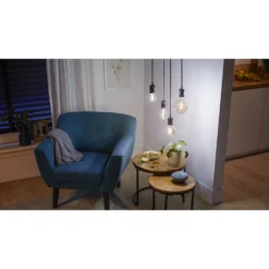 Philips Smart-LED Edison Filament Amber Dimmbar E27 / 50 W / 640 Lm -Lampen & Leuchten affär 636186 2
