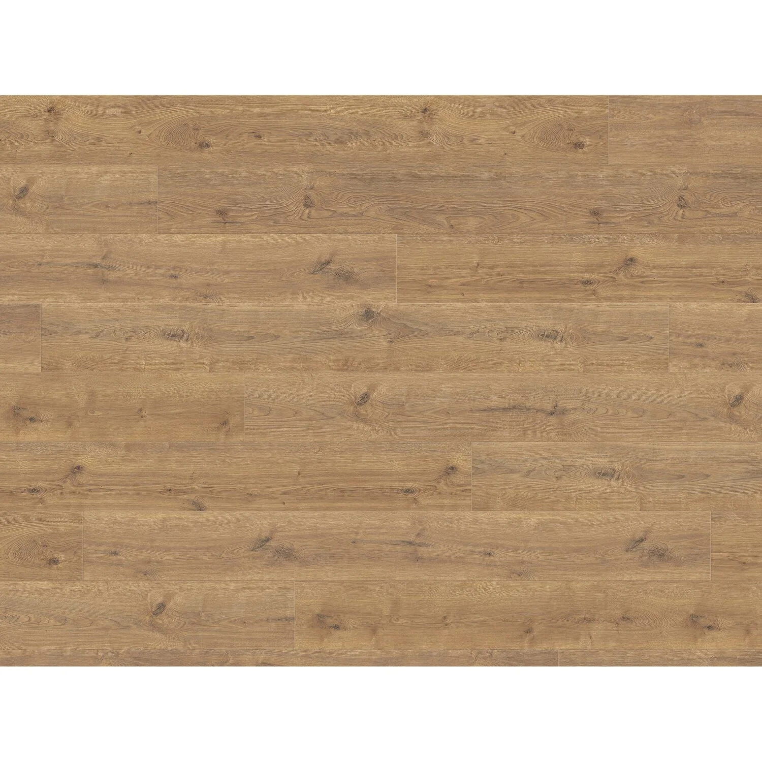 Living By Haro Laminatboden Salone Eiche Calgary Natur Mittel 1 Living By Haro Laminatboden Salone Eiche Calgary Natur Mittel