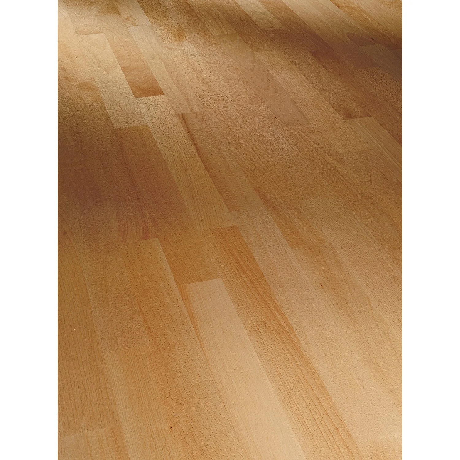 Parador Parkett Basic Natur Buche Matt Schiffsboden 1 Parador Parkett Basic Natur Buche Matt Schiffsboden