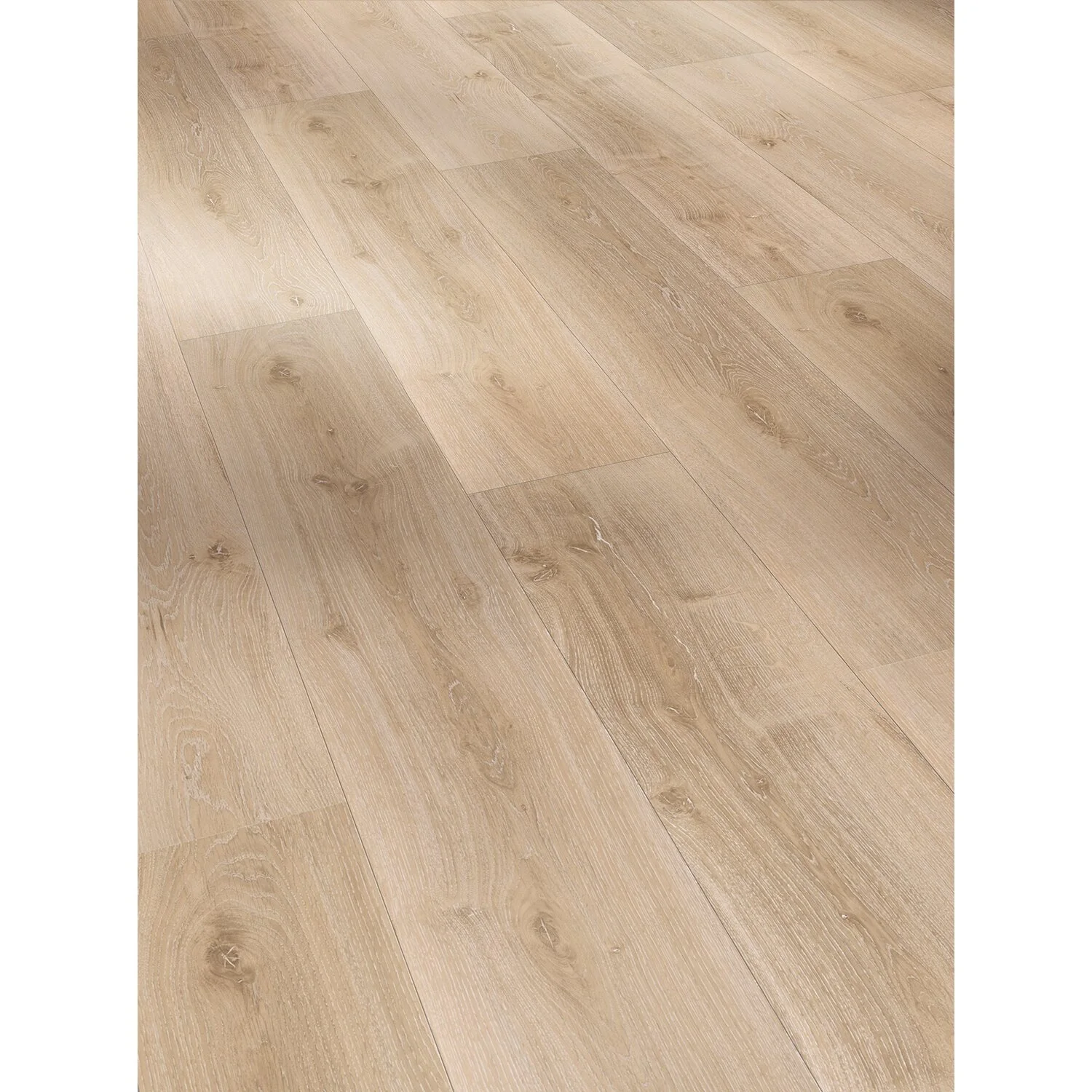 Handmuster Parador Vinylboden Basic 30 Eiche Royal Hell Gekälkt Landhausdiele 1 Handmuster Parador Vinylboden Basic 30 Eiche Royal Hell Gekälkt Landhausdiele