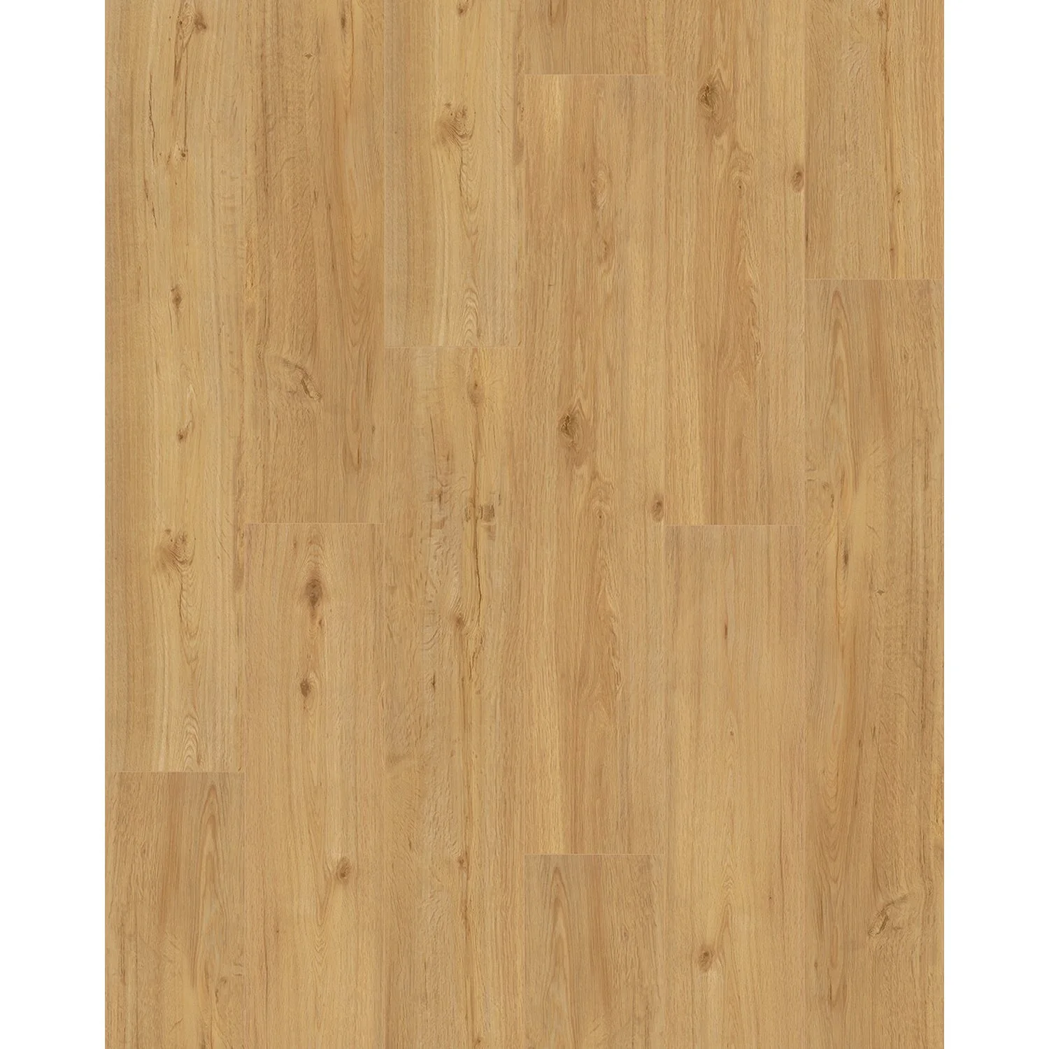 Handmuster Parador Vinylboden Basic 5.3 Eiche Natur 1 Handmuster Parador Vinylboden Basic 5.3 Eiche Natur