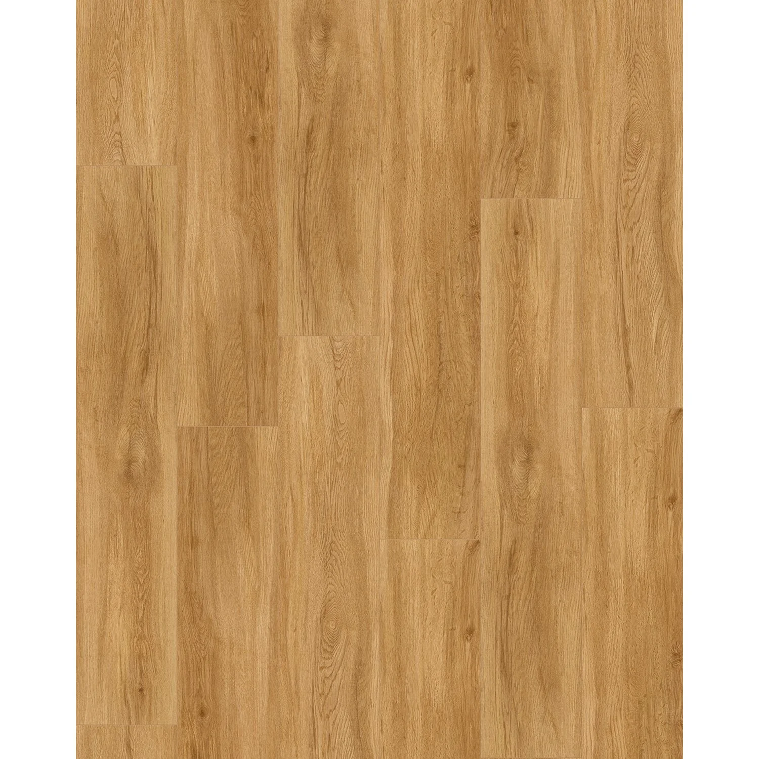 Parador Vinylboden Basic 5.3 Eiche Sierra Natur 2 Parador Vinylboden Basic 5.3 Eiche Sierra Natur – Bild 2