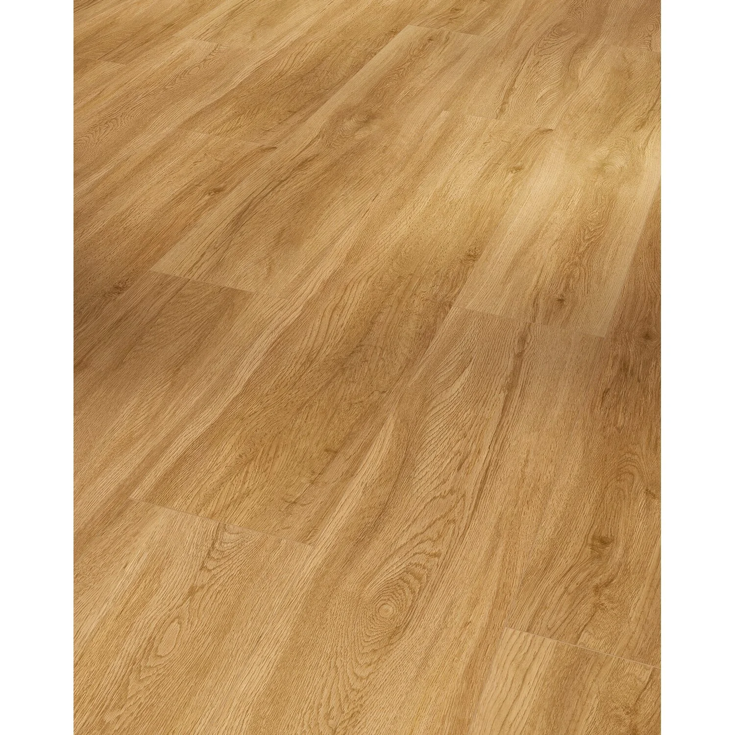 Parador Vinylboden Basic 5.3 Eiche Sierra Natur 3 Parador Vinylboden Basic 5.3 Eiche Sierra Natur – Bild 3