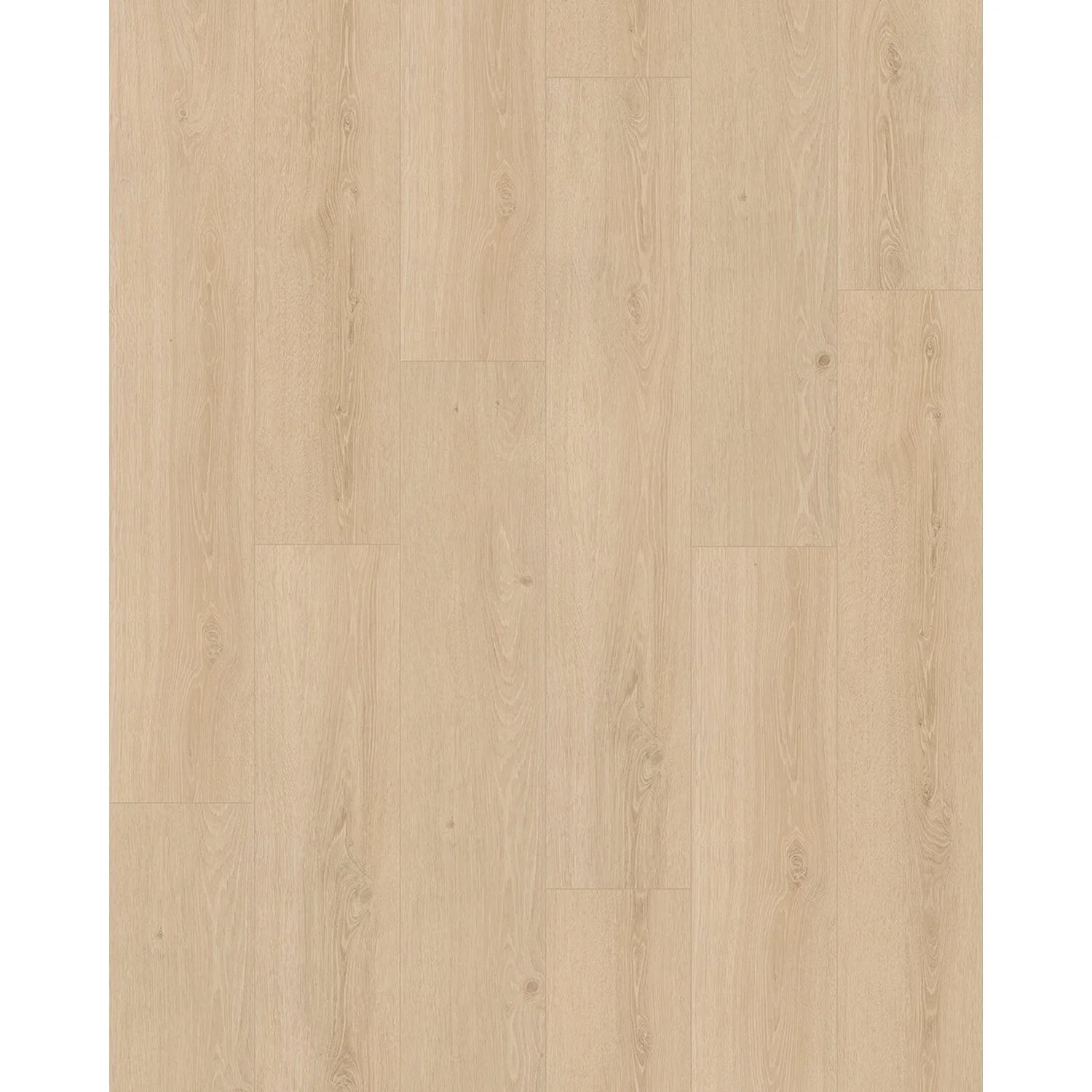 Handmuster Parador Vinylboden Basic 5.3 Eiche Studioline 1 Handmuster Parador Vinylboden Basic 5.3 Eiche Studioline