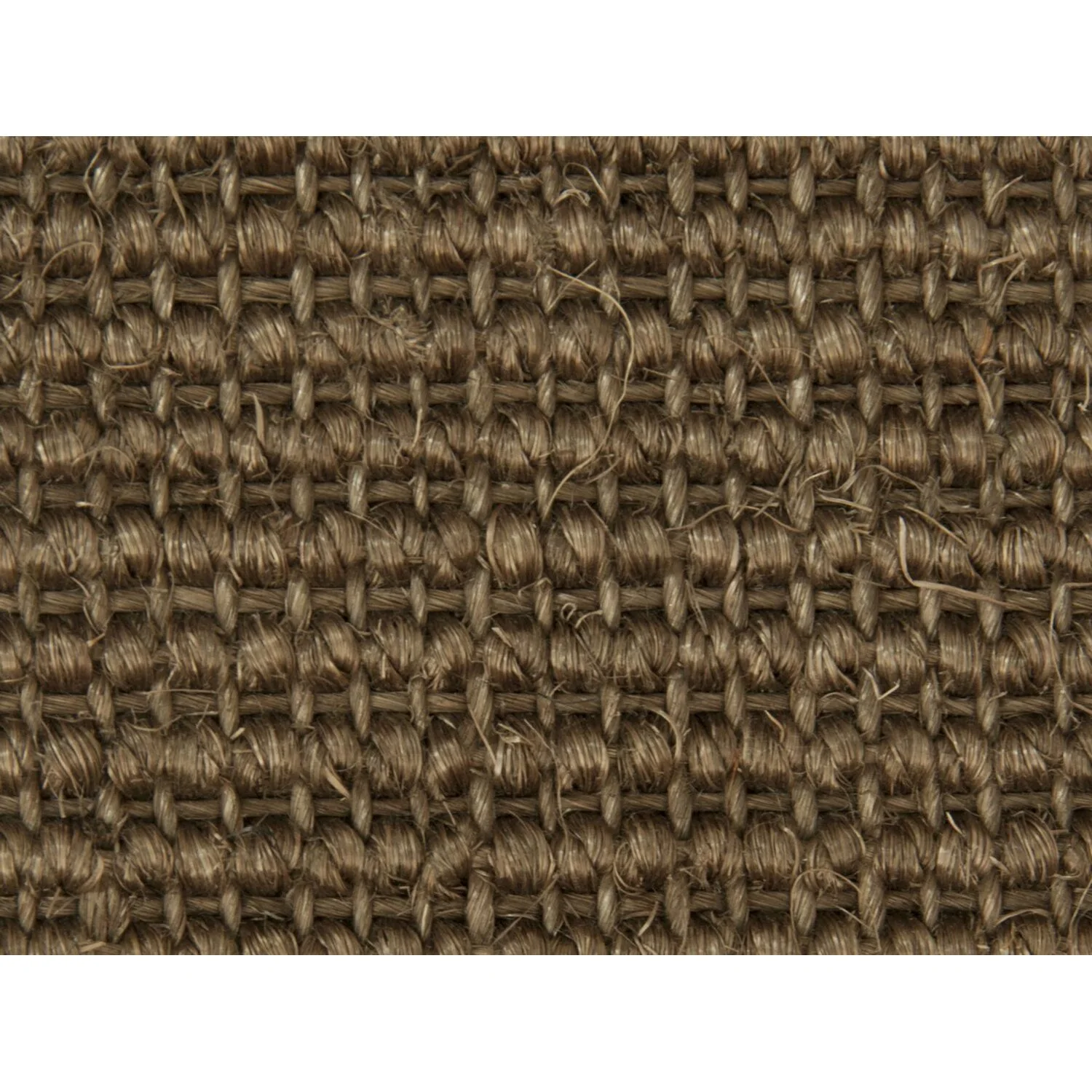 Teppichboden Salvador Braun Meterware / Breite 400 Cm 1 Teppichboden Salvador Braun Meterware / Breite 400 Cm