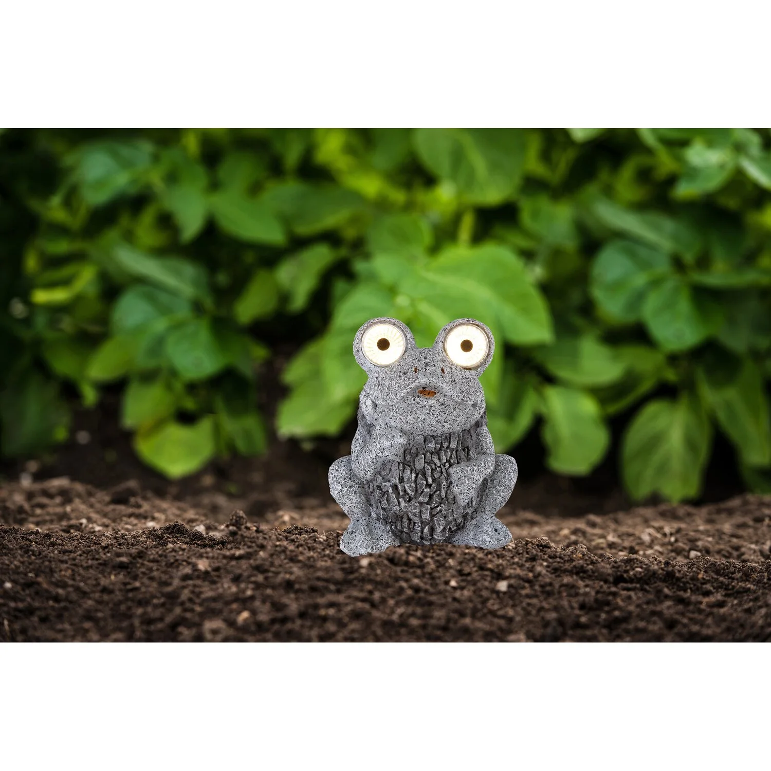 Globo Solarleuchte Frosch 6 Globo Solarleuchte Frosch – Bild 6