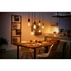 Philips Hue White LED-Leuchtmittel Globe E27 Filament Klar 17 Philips Hue White LED-Leuchtmittel Globe E27 Filament Klar -Lampen & Leuchten affär 794998 5